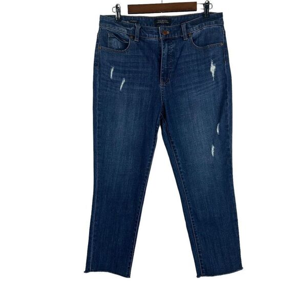 Talbots Flawless 5-Pocket Petite Slim Straight Jean size 10P - Picture 1 of 7